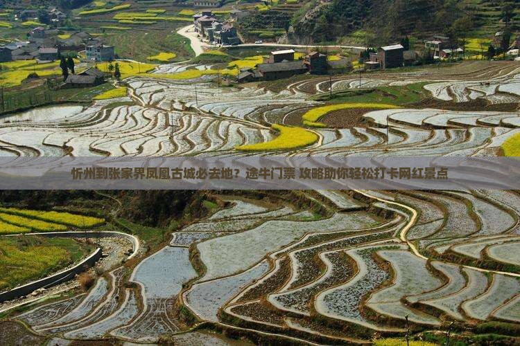 忻州到张家界凤凰古城必去地？途牛门票+攻略助你轻松打卡网红景点