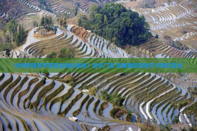 忻州到张家界凤凰古城必去地？途牛门票+攻略助你轻松打卡网红景点