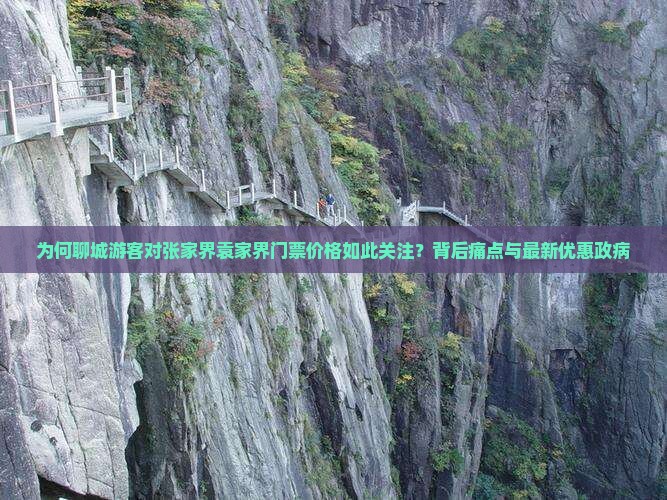 为何聊城游客对张家界袁家界门票价格如此关注？背后痛点与最新优惠政病