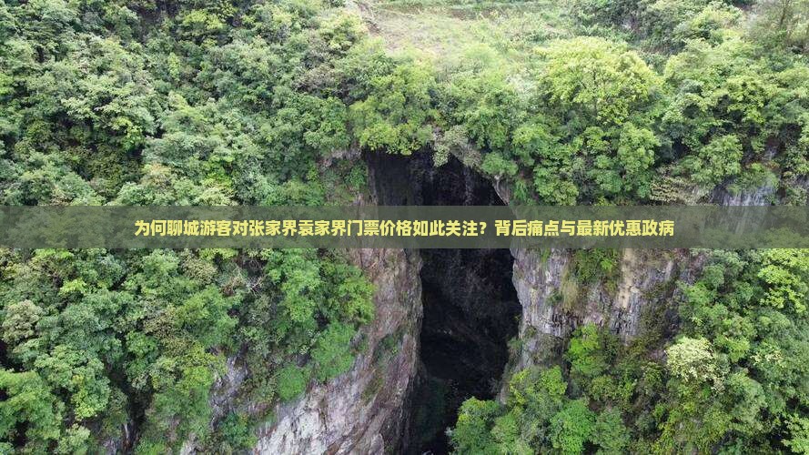 为何聊城游客对张家界袁家界门票价格如此关注？背后痛点与最新优惠政病