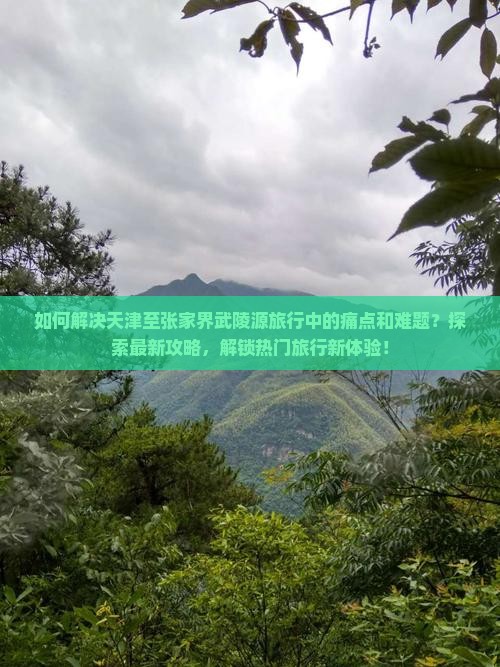 如何解决天津至张家界武陵源旅行中的痛点和难题？探索最新攻略，解锁热门旅行新体验！