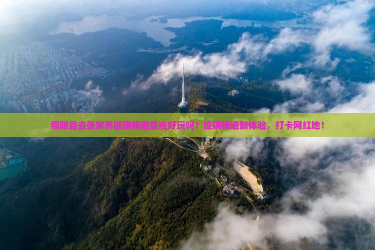 鄢陵县去张家界玻璃栈道景点好玩吗？玻璃栈道新体验，打卡网红地！