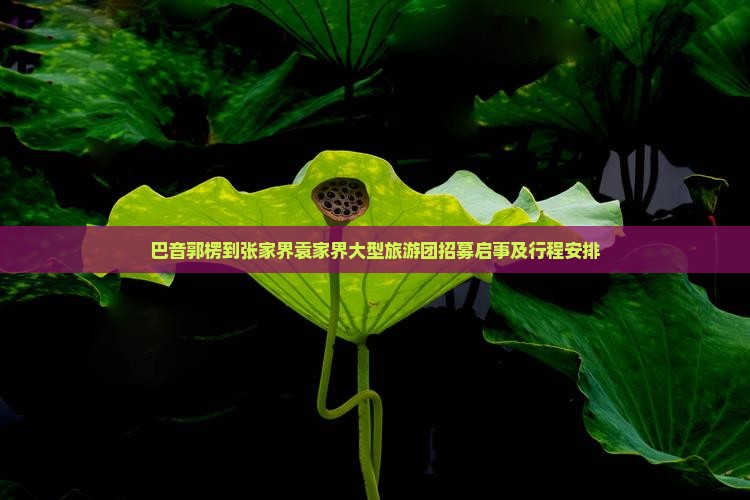 巴音郭楞到张家界袁家界大型旅游团招募启事及行程安排