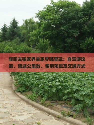 濮阳去张家界袁家界哪里玩：自驾游攻略、路途公里数、费用预算及交通方式解析