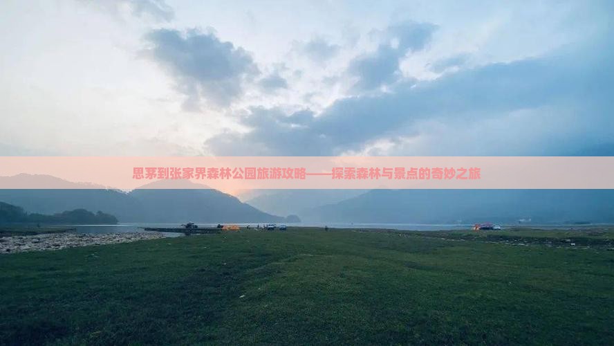 思茅到张家界森林公园旅游攻略——探索森林与景点的奇妙之旅