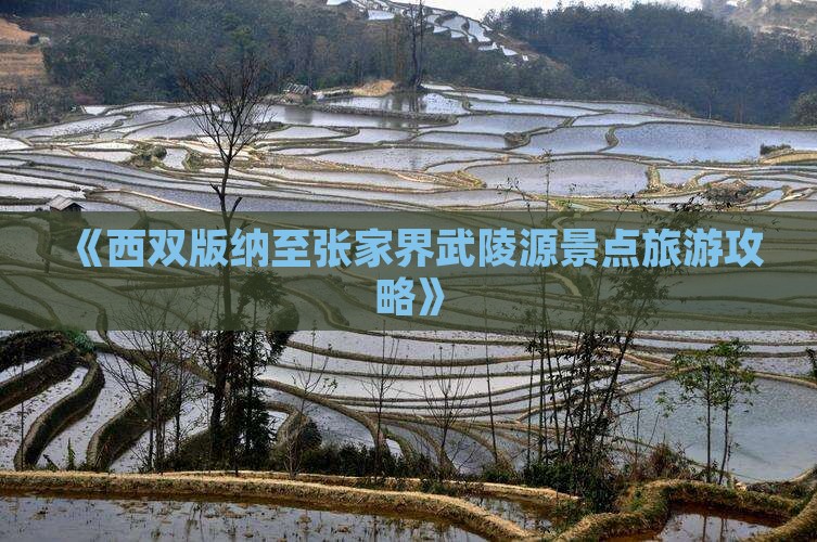 《西双版纳至张家界武陵源景点旅游攻略》