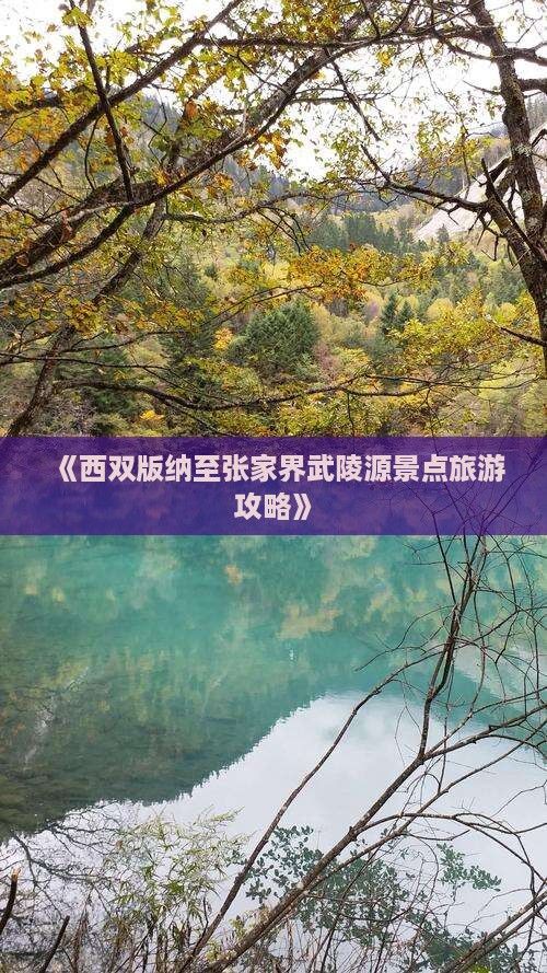 《西双版纳至张家界武陵源景点旅游攻略》