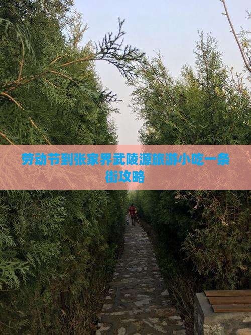 劳动节到张家界武陵源旅游小吃一条街攻略
