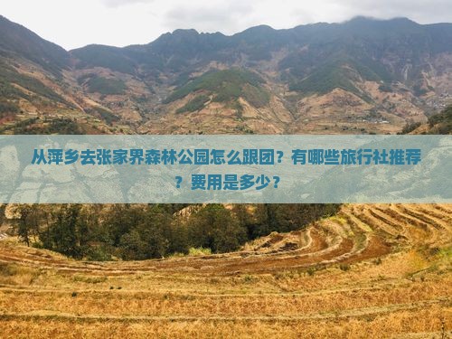 从萍乡去张家界森林公园怎么跟团？有哪些旅行社推荐？费用是多少？