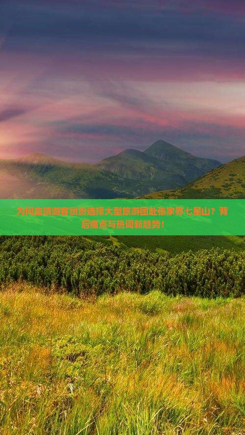 为何曲靖游客纷纷选择大型旅游团赴张家界七星山？背后痛点与热词新趋势！
