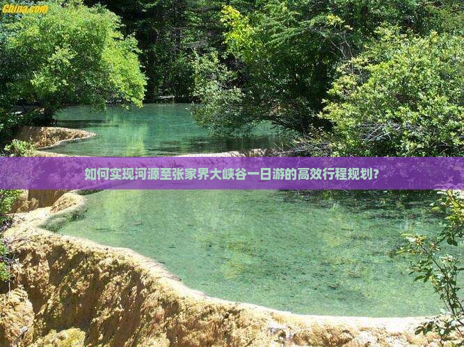 如何实现河源至张家界大峡谷一日游的高效行程规划？
