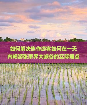 如何解决焦作游客如何在一天内畅游张家界大峡谷的实际痛点？