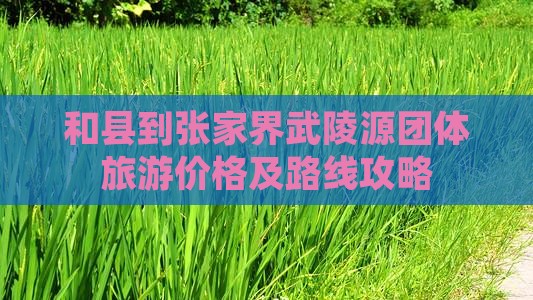 和县到张家界武陵源团体旅游价格及路线攻略