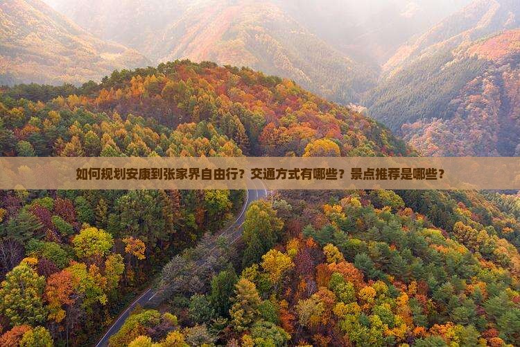如何规划安康到张家界自由行？交通方式有哪些？景点推荐是哪些？
