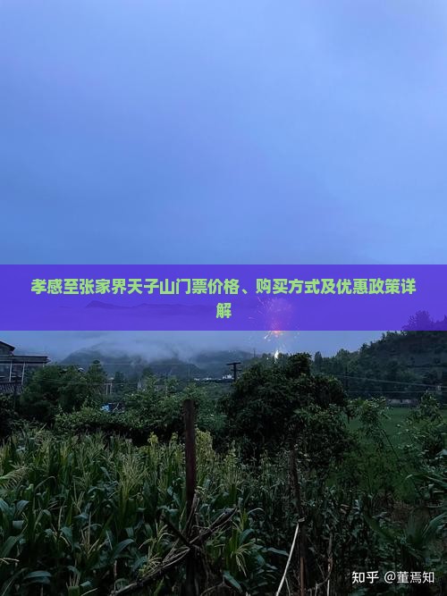 孝感至张家界天子山门票价格、购买方式及优惠政策详解