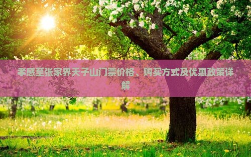 孝感至张家界天子山门票价格、购买方式及优惠政策详解