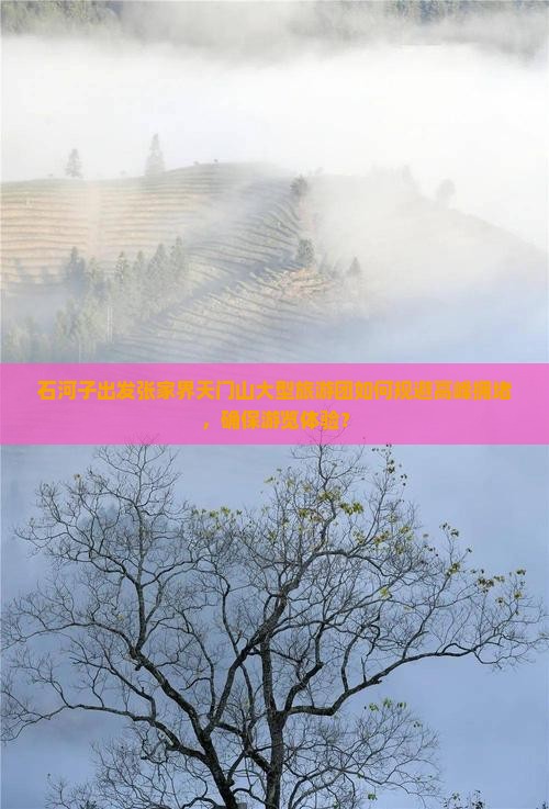 石河子出发张家界天门山大型旅游团如何规避高峰拥堵，确保游览体验？