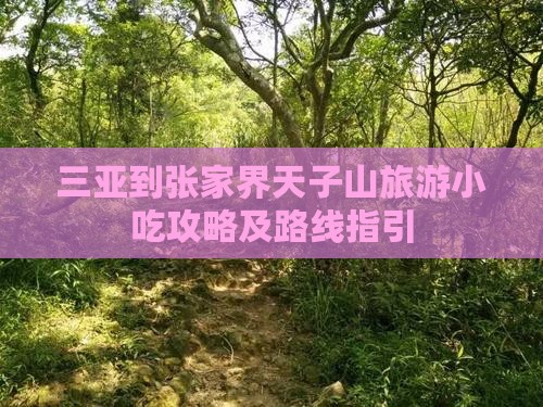 三亚到张家界天子山旅游小吃攻略及路线指引