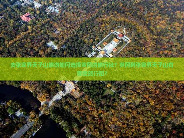 去张家界天子山旅游如何选择黄冈的旅行社？黄冈到张家界天子山有哪些旅行团？