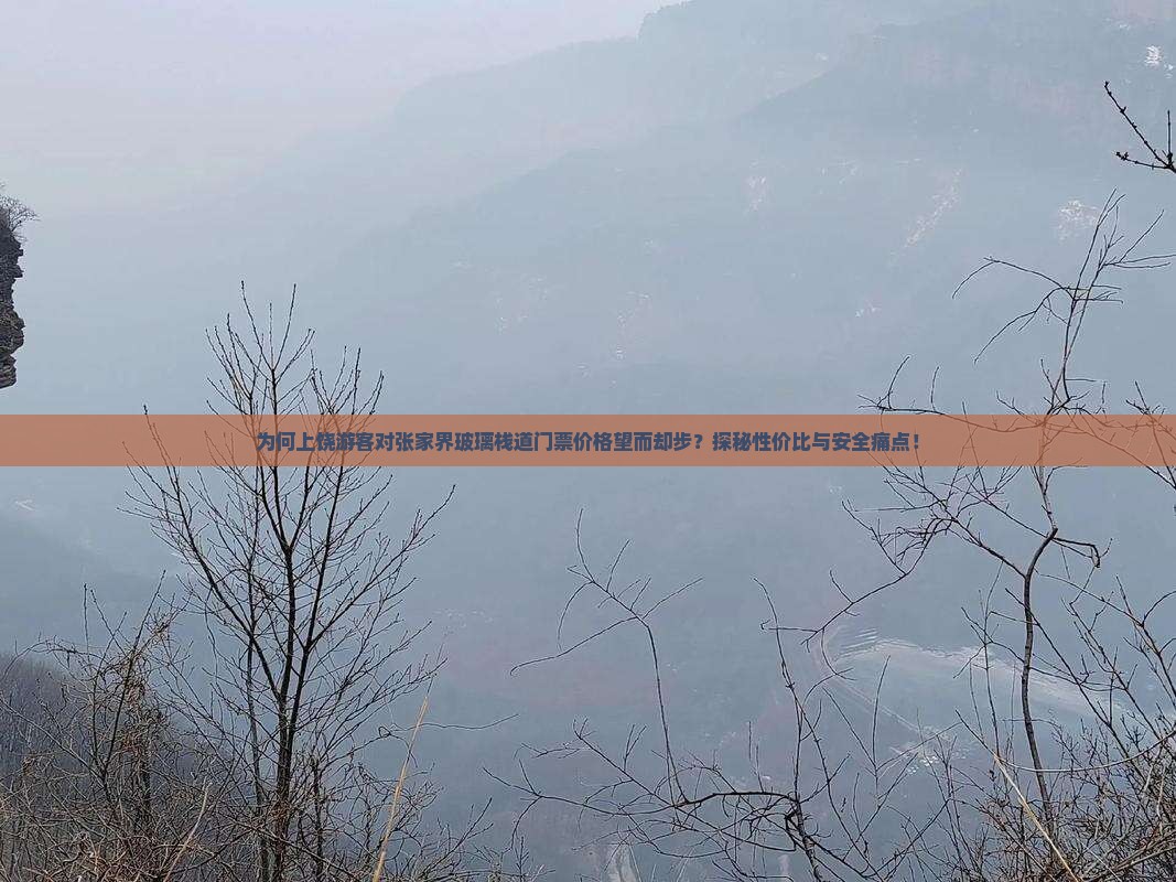 为何上饶游客对张家界玻璃栈道门票价格望而却步？探秘性价比与安全痛点！
