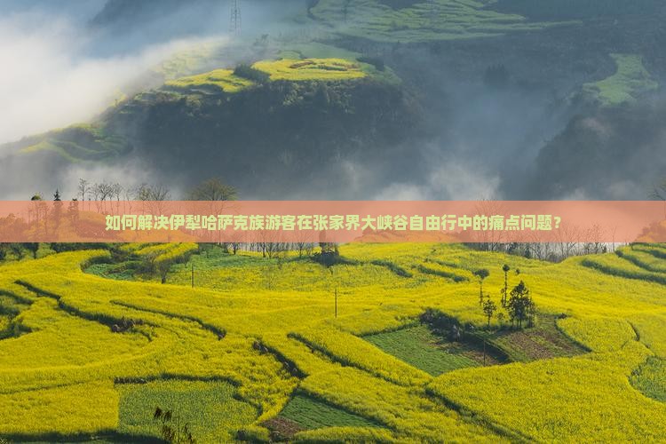 如何解决伊犁哈萨克族游客在张家界大峡谷自由行中的痛点问题？