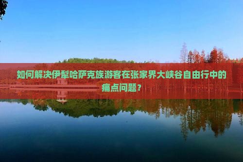 如何解决伊犁哈萨克族游客在张家界大峡谷自由行中的痛点问题？