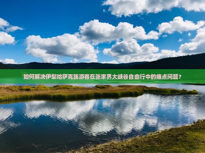如何解决伊犁哈萨克族游客在张家界大峡谷自由行中的痛点问题？