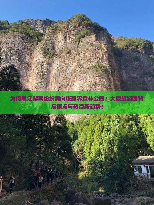 为何怒江游客纷纷涌向张家界森林公园？大型旅游团背后痛点与热词新趋势！