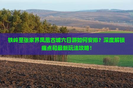铁岭至张家界凤凰古城六日游如何安排？深度解锁痛点和最新玩法攻略！