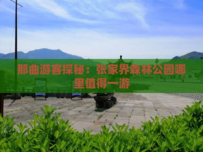 那曲游客探秘：张家界森林公园哪里值得一游