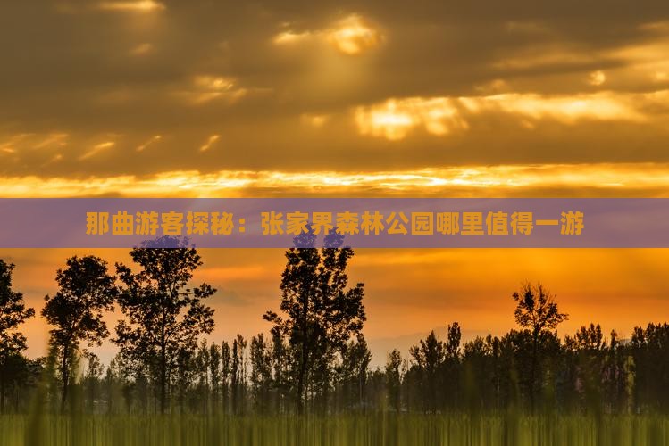 那曲游客探秘：张家界森林公园哪里值得一游