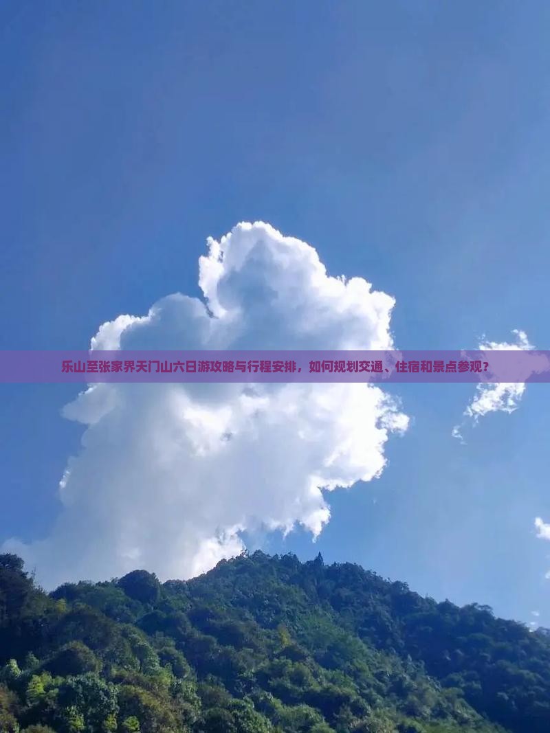 乐山至张家界天门山六日游攻略与行程安排，如何规划交通、住宿和景点参观？