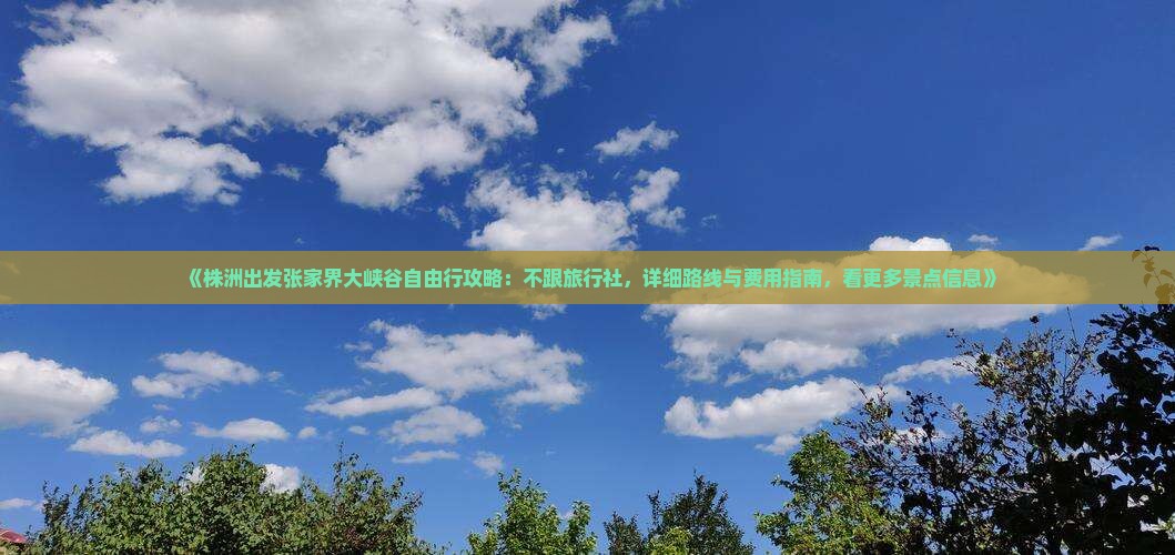 《株洲出发张家界大峡谷自由行攻略：不跟旅行社，详细路线与费用指南，看更多景点信息》
