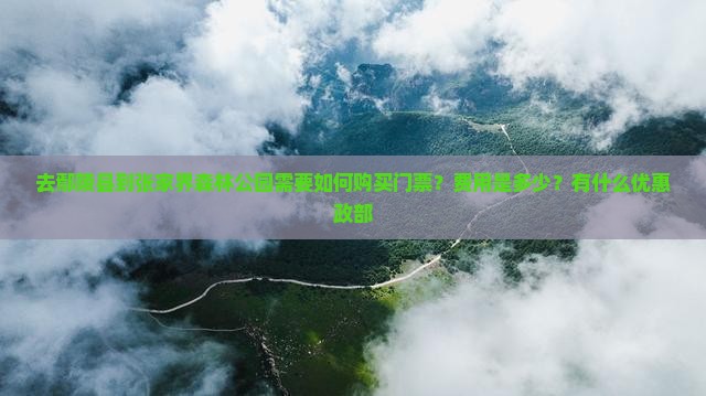 去鄢陵县到张家界森林公园需要如何购买门票？费用是多少？有什么优惠政部