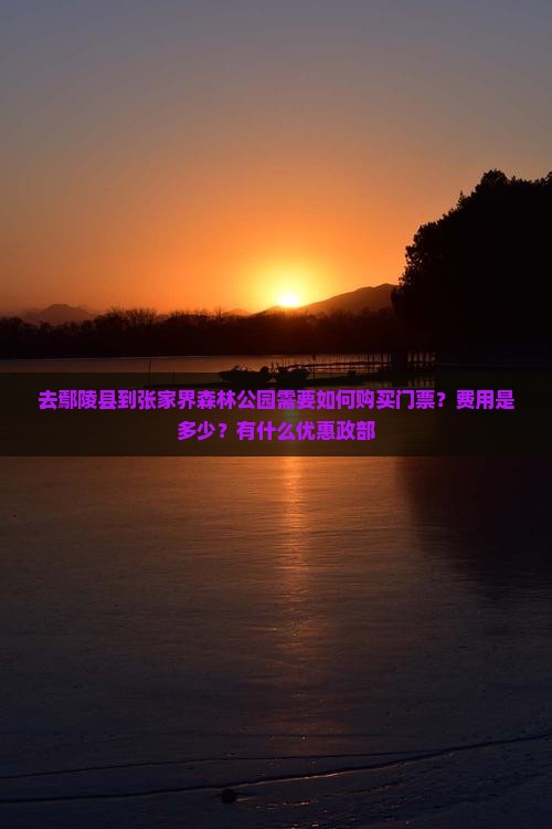 去鄢陵县到张家界森林公园需要如何购买门票？费用是多少？有什么优惠政部