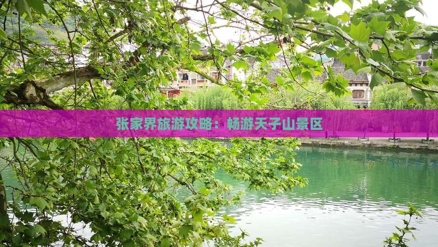 张家界旅游攻略：畅游天子山景区