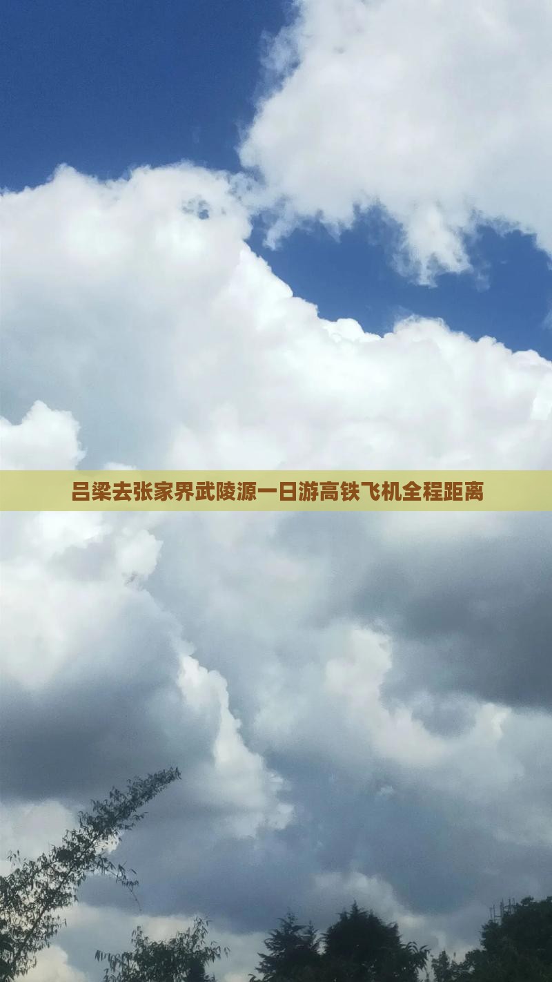 吕梁去张家界武陵源一日游高铁飞机全程距离