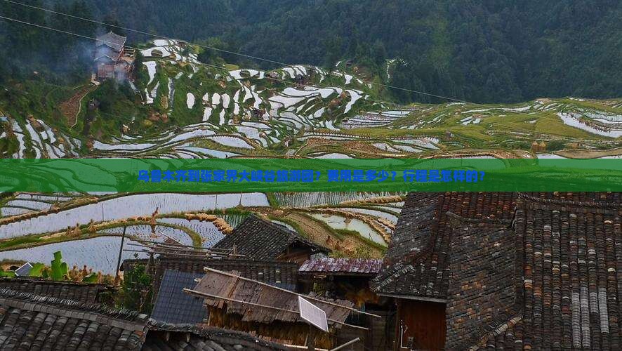 乌鲁木齐到张家界大峡谷旅游团？费用是多少？行程是怎样的？