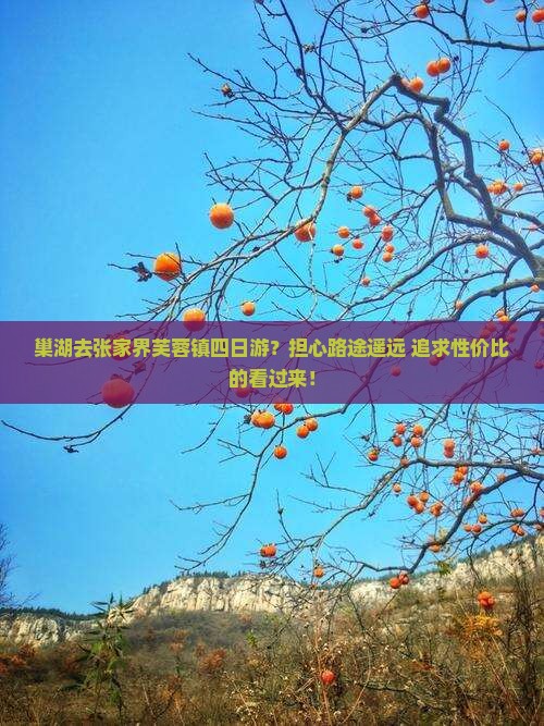 巢湖去张家界芙蓉镇四日游？担心路途遥远+追求性价比的看过来！