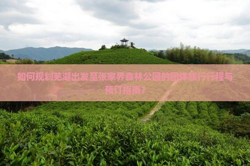 如何规划芜湖出发至张家界森林公园的团体旅行行程与预订指南？