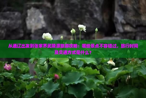 从通辽出发到张家界武陵源旅游攻略：哪些景点不容错过，旅行时间及交通方式是什么？