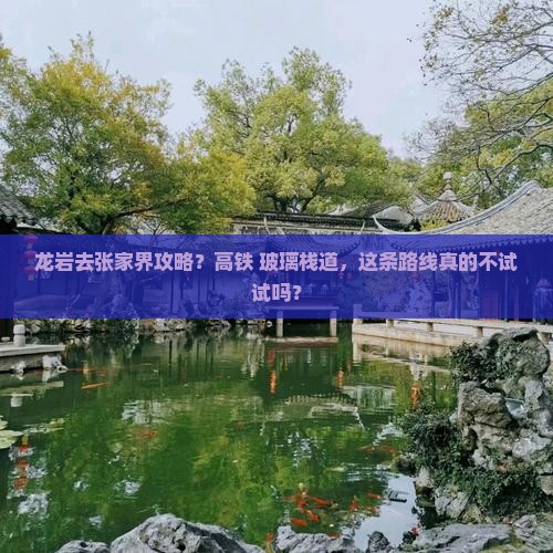 龙岩去张家界攻略？高铁+玻璃栈道，这条路线真的不试试吗？