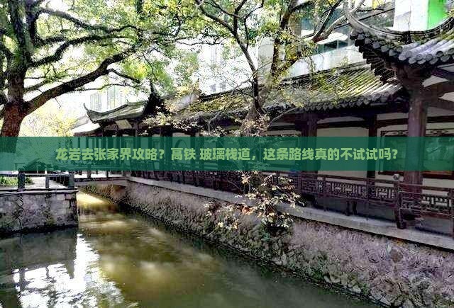 龙岩去张家界攻略？高铁+玻璃栈道，这条路线真的不试试吗？