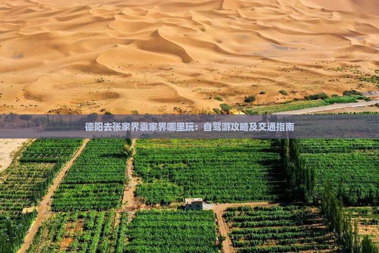 德阳去张家界袁家界哪里玩：自驾游攻略及交通指南