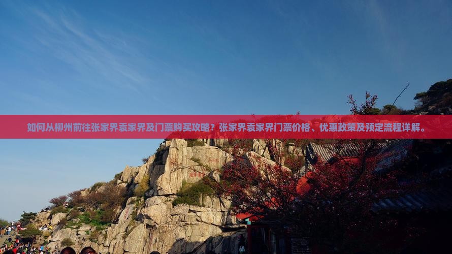 如何从柳州前往张家界袁家界及门票购买攻略？张家界袁家界门票价格、优惠政策及预定流程详解。