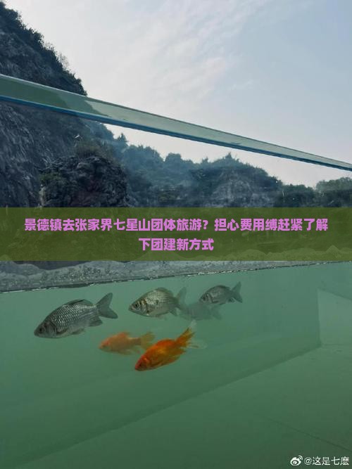 景德镇去张家界七星山团体旅游？担心费用缚赶紧了解下团建新方式