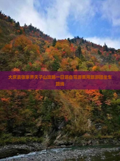 大庆去张家界天子山攻略一日游自驾游费用旅游团坐车路线
