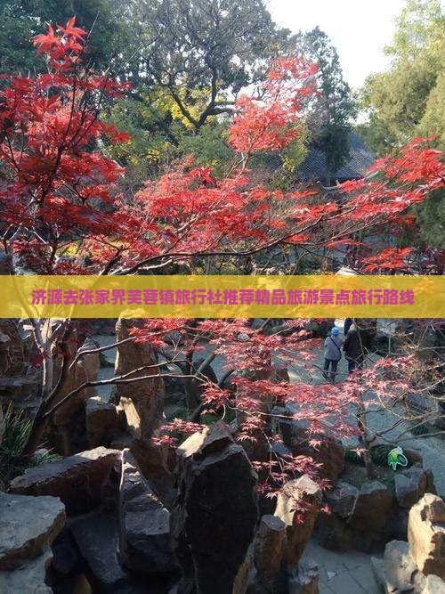 济源去张家界芙蓉镇旅行社推荐精品旅游景点旅行路线