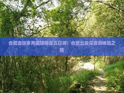 合肥去张家界玻璃栈道五日游：合肥出发深度游体验之旅