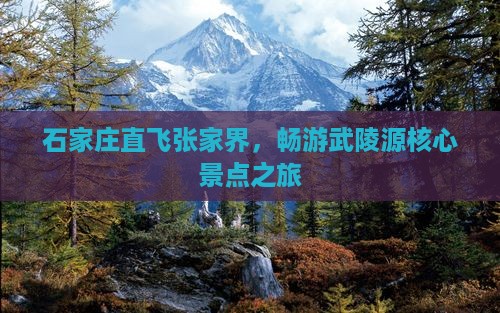 石家庄直飞张家界，畅游武陵源核心景点之旅